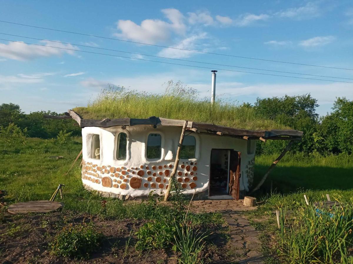 Сказочный Дом Villa Buki  Exteriör bild